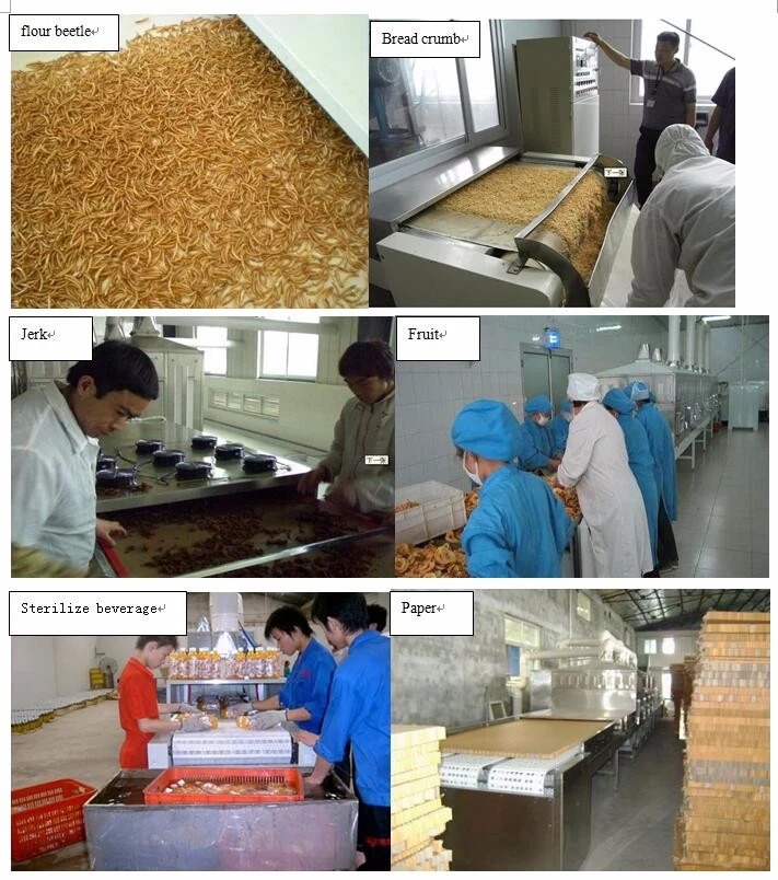 Automatic High Efficient Industrial Wood Microwave Dryer