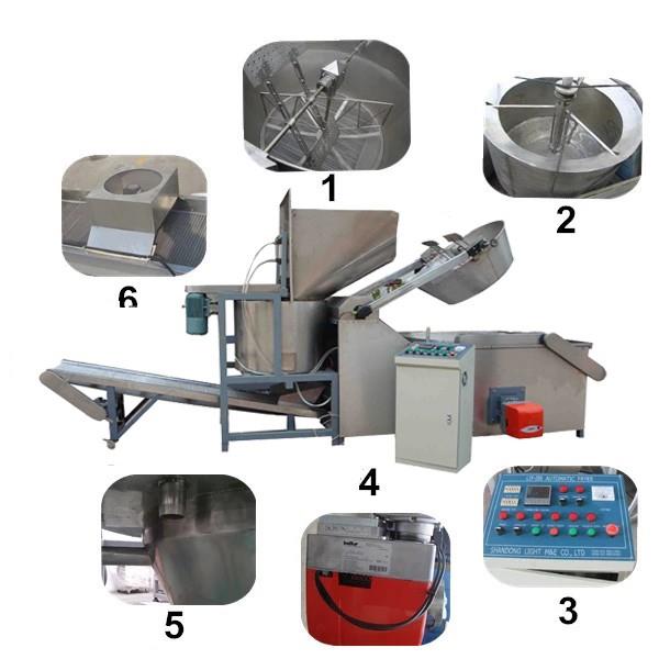 Continuous Frying Machine